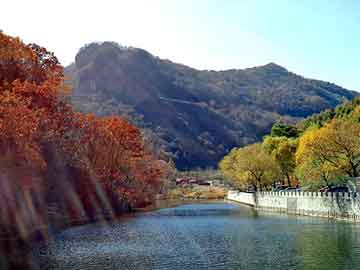 管家婆黑白马报图库，鬼影在校园